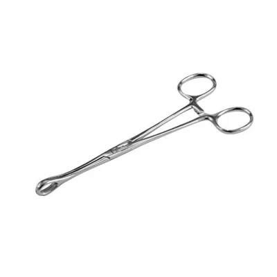 Image of BEAUTY PLUS Oval End Ear Nose Body Piercing Holders Forceps with or Without Slots 15cm 18cm Profession Clamps (18cm Regular)