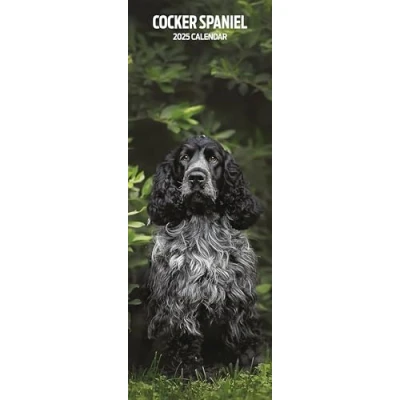 Image of Cocker Spaniel 2025 Slim Calendar