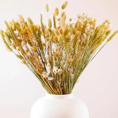 Image of Anita Dried Flower Bouquet 55cm Large in Craft Paper Sleeve Flowers for Vase Home Décor Accessories Living Room Decorative Arrangements