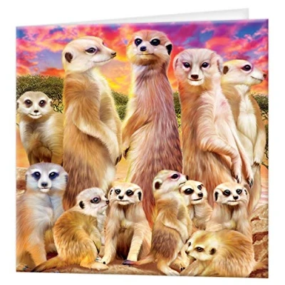 Image of 3D LiveLife Greeting Card Cool Meerkats from Deluxebase. Lenticular Blank Cards with Envelopes. Meerkat All Occasion Featuring Original Artwork by Michael Searle.