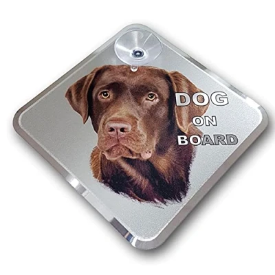 Image of Avisa Auto Tattoo Sticker Dog on Board Labrador 11,5x11,5cm