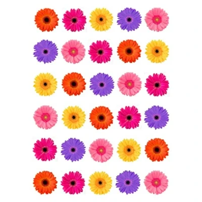 Image of 30 Gerbera Mixed Colours Single Edible Rice Wafer Paper Cupcake Toppers Cake Decorations Flowers