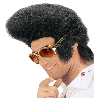 Image of the King Polybag Wig for Hair Accessory Fancy Dress