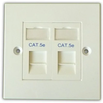 Image of Comms2Go CAT5e Double Port Faceplate Twin Socket RJ45 Ethernet Network Face Plate Module (2 port)