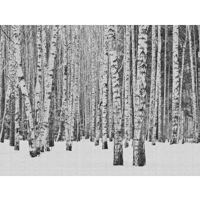 Image of Metropolitan Stories Mural Frozen Forest 38259 1