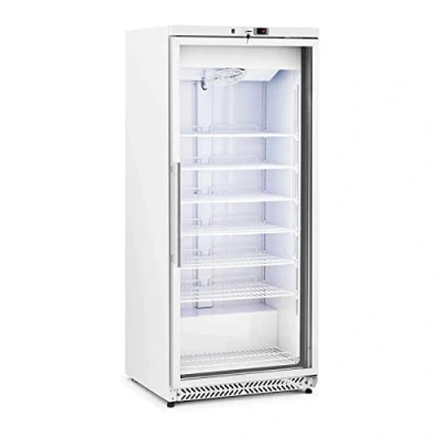 Image of Royal Catering RCLK F590GB Freezer 580L 492W Glass Door Silver Refrigerant R290 Large