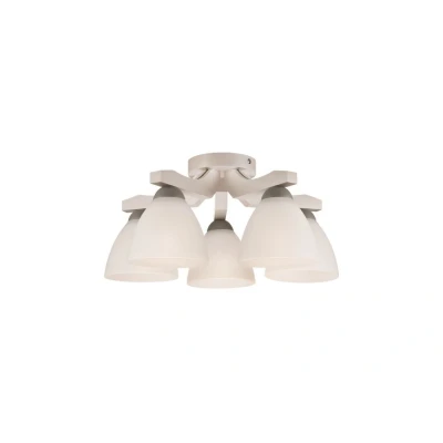Image of Adriano Multi Arm Semi Flush Ceiling Light, Glass Shades, White Beech, 5x E27