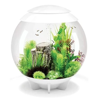 Image of biOrb Halo 60 MCR White