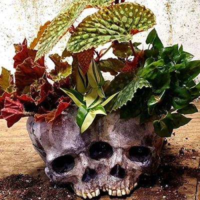 Image of YE&amp;ZI Modern Skull Flower Pot, Resin Shaped Head Design Pot Planter, Creepy Multifunction Vase for Home Office Desk Halloween Decoration (B)