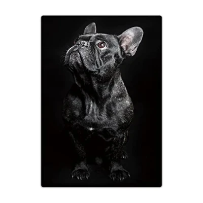 Image of Passport Holder Cover, PU Leather Travel Wallet Case Organiser for Passport, Business Cards, Credit Boarding Passes (Bulldog)