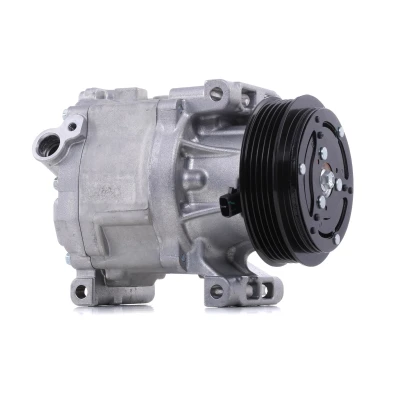 Image of 46782669, 51747318, 52060461, 71721733, 71781767 AC Compressor DENSO DCP09061 SCSB06C 12V PAG 46 YF R1234yf, R134a with magnetic clutch