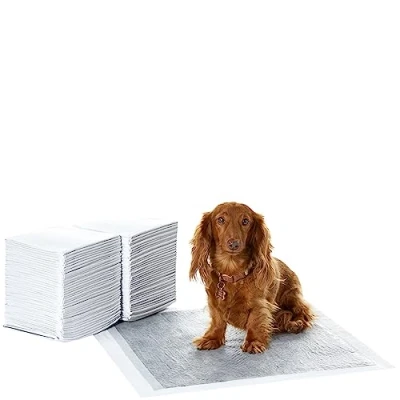 Image of Amazon Basics Carbon Odour Control Dog and Puppy Training Pads, Leakproof with Quick Dry Surface, Regular, Pack of 80, Grey