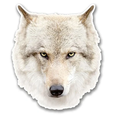 Image of 2 x 10cm White Husky Wolf Head Vinyl Sticker Laptop Tablet Car Dog Animal #6368 (8.5cm Wide Tall)