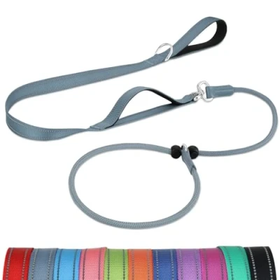 Image of Joytale Tangle Free Slip Lead for Dogs, 1.8m with Double Padded Handle, Anti Pull Training Leash Puppy Small Medium Dogs(6 18 KG), Grey