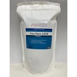 Image of Yea Sacc 1026 for horses