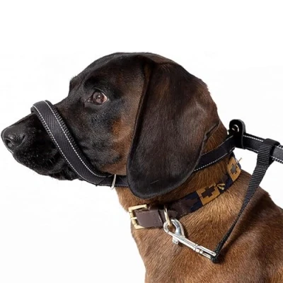 Image of Dog Head Collar, All in one Headcollar Lead, No Pull Collar for Dogs, Training Tool Dogs on Walks, Adjustable Lead 2m Small, Medium and Large