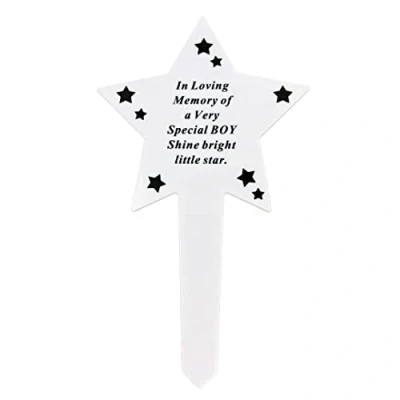 Image of Angraves Shining Star Special Boy Memorial Baby Child Remembrance Verse Grave Ground Stake Plaque