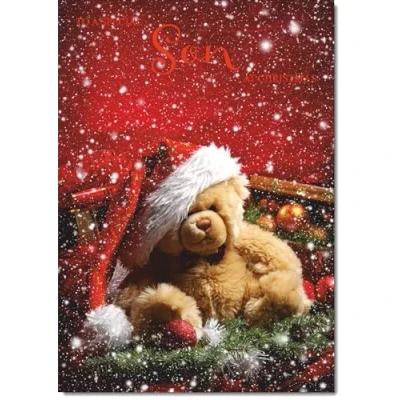 Image of doodlecards Son Christmas Card Bear with Santa Hat Medium Size for Plain Envelope