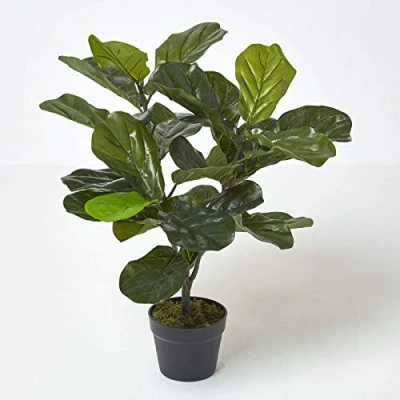 Image of HOMESCAPES Artificial Fiddle Leaf Tree 70 cm Tall with Wood Effect Trunk Replica Plant Ficus Fig in Black Pot Faux Moss Indoor Realistic for Home or Office