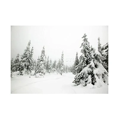 Image of Wee Blue Coo Mp Photo Landscape Winter Scene Snow Forest Trees Picture Wall Art Print