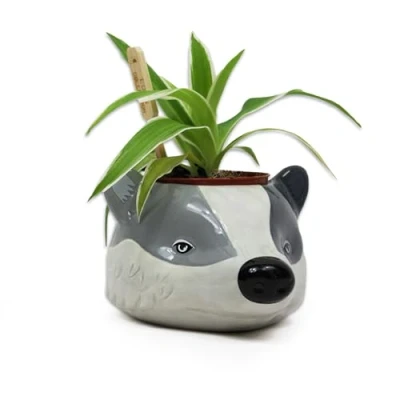 Image of Half Moon Bay Harry Potter Hufflepuff Indoor Plant Pot Ceramic &amp; Pots Gifts For Girls Women Badger