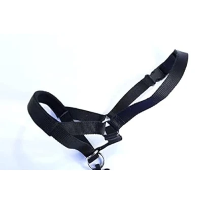 Image of L&amp;J Pets Uk Padded Head Collar Champion Dog Training Halter Stops Pulling Tool (Black, 6)