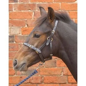 Image of William Hunter Equestrian Hy Leather Foal Head Collar x large black