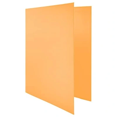Image of Raylu Paper® 4 D Ring Binder 25 mm, A4 File Cabinet with Rings for Storing Documents, Size 33.5 cm High x 26 Wide and Thick Spine (Pastel Orange)