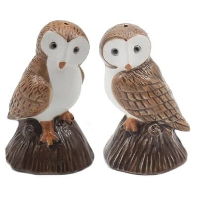 Image of Lesser &amp; Pavey Salt Pepper Set for All Types of Kitchen Ceramic Shaker Lovely Pots Suitable Home (Owls)