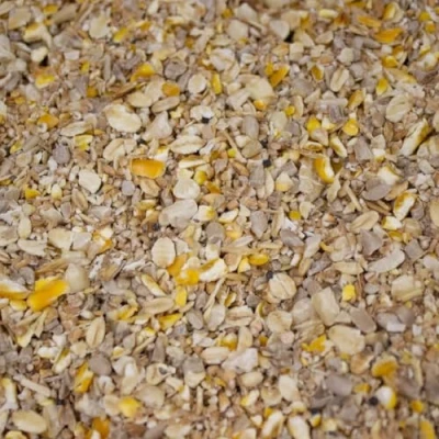 Image of Leagrams Everyday No Grow Seed Mix for wild Birds 12.55kg 25.1kg (12.55kg)
