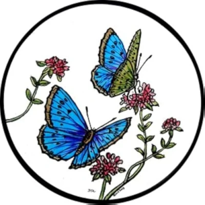 Image of HENSITA Static Window Cling in a Blue Butterflies Design