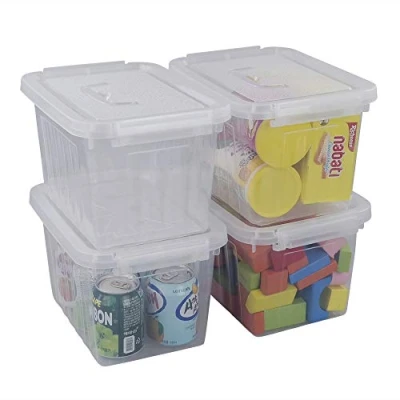 Image of Cadineer 4 Set of 6 L Small Clear Plastic Storage Boxes with Lids, R