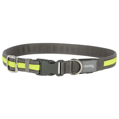 Image of Light &amp; Reflex Luminous Yellow Collar, M/L