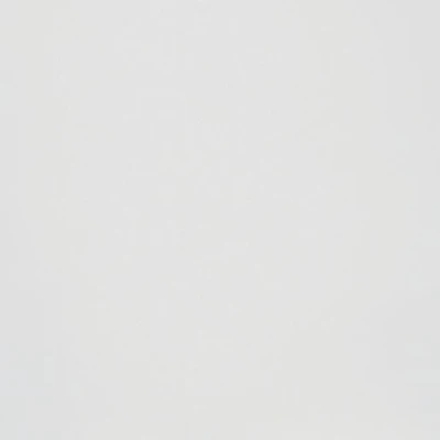 Image of Iflo Aliano Mirrored Door 300mm X 716mm 579044