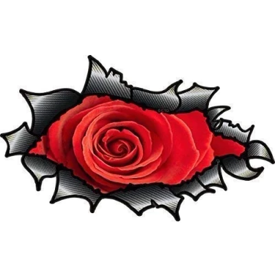 Image of Large OVAL RIPPED OPEN TORN CARBON FIBER FIBRE Effect Design With Beautiful Red Rose Motif Vinyl Car Sticker 200x120mm