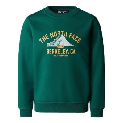 Image of The North Face Varsity Graphic Relaxed CREW Unisex Sweatshirt for kids, Size: 14 16y, Evergreen