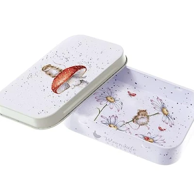 Image of Wrendale Designs &#039;He&#039;s a Fun gi&#039; Mouse Mini Tin