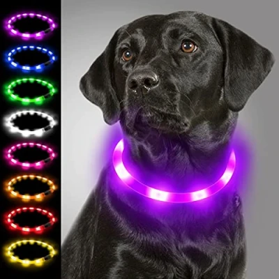 Image of Joytale Light Up Dog Collar,LED Flashing Collar for Night Walking, Rechargeable Glow Collars Puppy Small Medium and Large Dogs,Purple