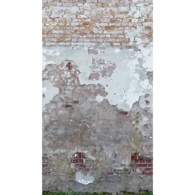 Image of Metropolitan Stories Mural Sun faded Brick Wall 392341