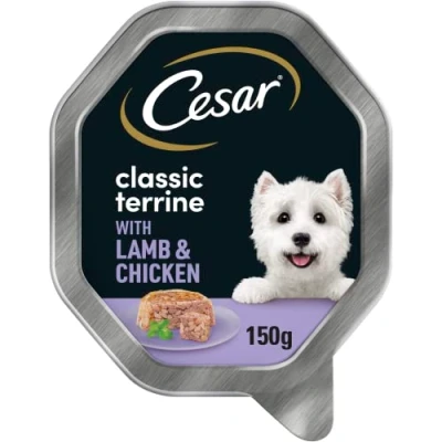 Image of Cesar Classics Terrine Wet Dog Food for Adult Dogs Tray with Lamb and Chicken in Jelly 14 x 150 g