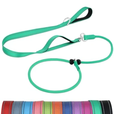 Image of Joytale Tangle Free Slip Lead for Dogs, 1.8m with Double Padded Handle, Anti Pull Training Leash Puppy Small Medium Dogs(6 18 KG), Turquoise