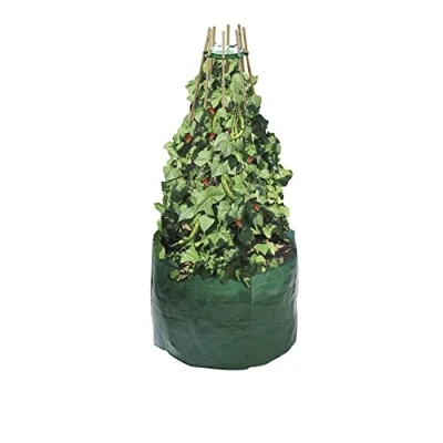 Image of Garland Bean &amp; Pea Bag with Free Ring