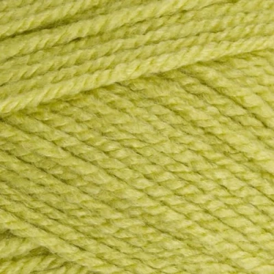 Image of Stylecraft 9051822 Special Aran Pistachio (1822) Yarn 100g
