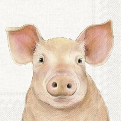 Image of IHR Ideal Home Range Paper Napkins Farm Pig Cream Pack of 20 Lunch 33 cm x