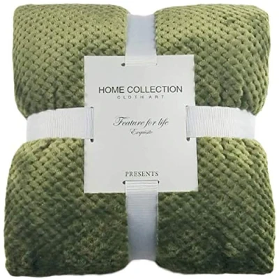 Image of ausuky Weighted Blanket Heavy Quilted Inner Layer Washable Minky Cover Fill for Deep Sleep (green,70cm*100cm)