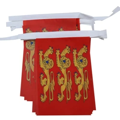 Image of AZ Flag Upper Normandy 6 meters BUNTING 20 flags 9&#039;&#039; x 6&#039;&#039; French region of Haute Normandie STRING 15 21 cm