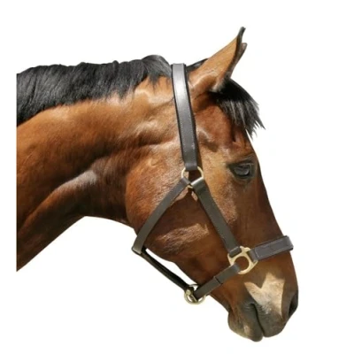 Image of Kerbl Eco Head Collar Brown, Size 2
