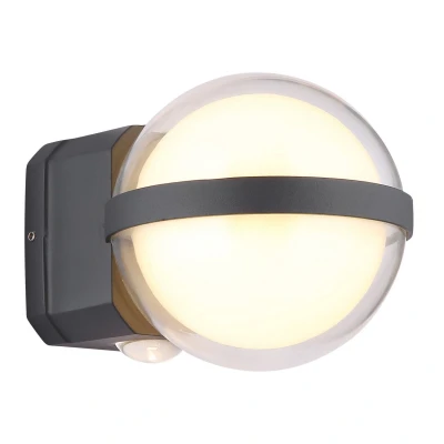 Image of Illi Outdoor Globe Wall Lamp Anthracite IP54 LED 3000K