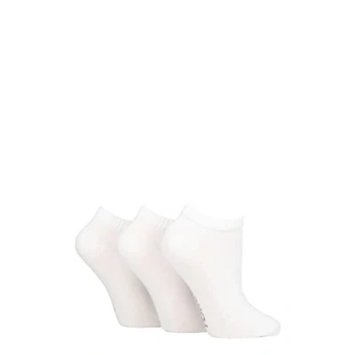 Image of Women&#039;s 3 Pair SOCKSHOP TORE 100% Recycled Plain Cotton Sports Trainer Socks White 4 8 Ladies