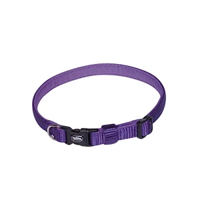 Image of Nobby Classic Preno Mini Collar Length 13 20 cm Width 10 mm Purple